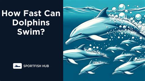 How Do Dolphins Swim: A Deep Dive into the Mechanics and Mysteries of Dolphin Locomotion