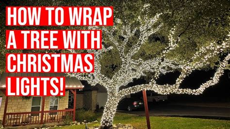 How Many Feet of Lights to Wrap an Outdoor Tree: A Journey Through Illuminated Chaos