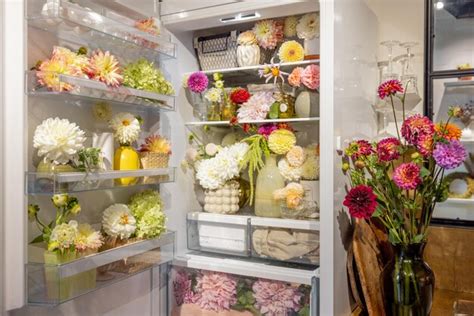 Should I Keep Flowers in the Fridge?