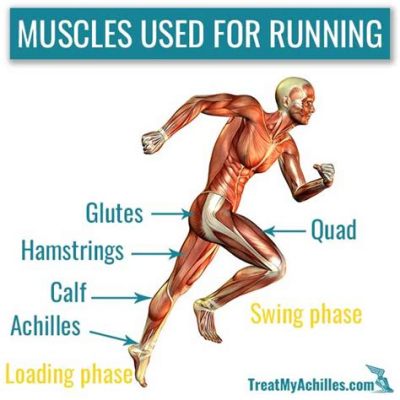 What Muscles Are Used When Running: And Why Do They Sometimes Feel Like They're Throwing a Party Without Inviting You?