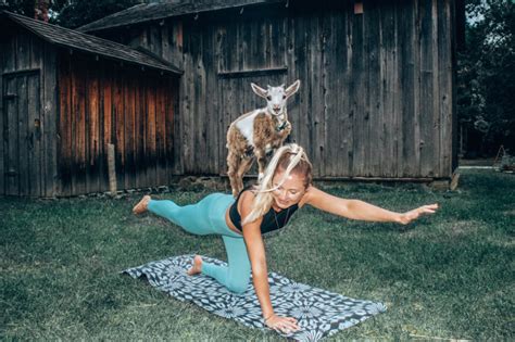 Why Goat Yoga is Bad: A Journey Through the Absurd and the Unexpected